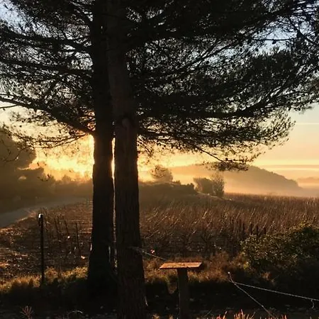 Le Doul Jolie Au Calme Climatisee Grande Piscine Jardin Peyriac-de-Mer