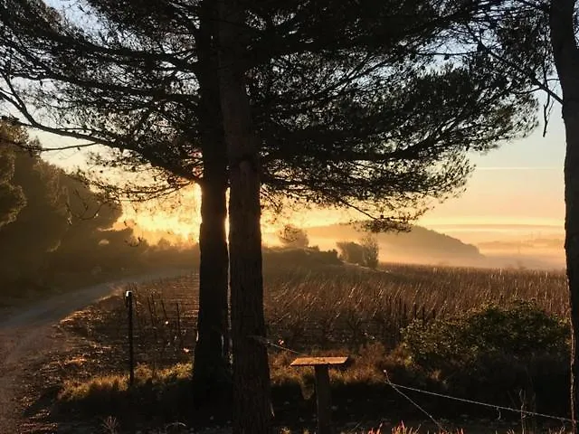 Jolie Au Calme Climatisée Grande Piscine Jardin Peyriac-de-Mer